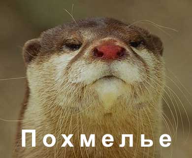 Дальше >>>